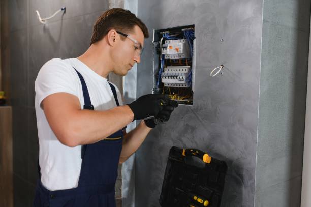 Best Electric Panel Repair  in Redwater, TX